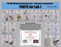 1101-P Mr Circuit Lab 1 - "Basic Electronics Experiments" In plastic 8.5"x11" 4 mil durable resealable bag - Electronics instruction FOR FUTURE Robotics ENGINEERS AND TECHNICIANS