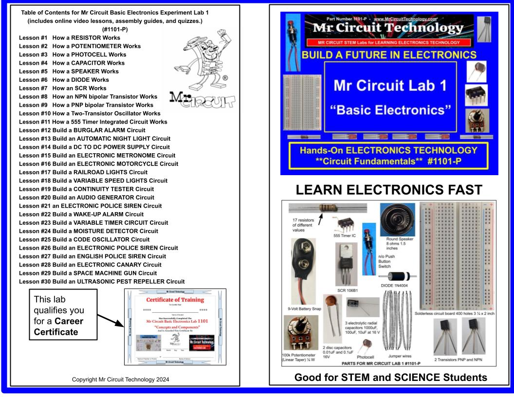 Mr Circuit Lab 1P (#1101-P) - (Same as Mr Circuit Lab 1 #1101-LAB but without a printed manual or box.  You receive a link to a pdf file to print your own manual.)