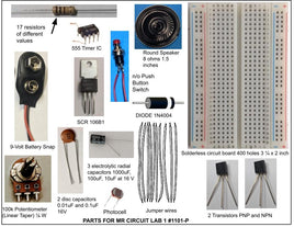 1101 Mr Circuit Lab 1 Replacement Parts in Bulk * * use this to replace parts in your Mr Circuit Lab 1
